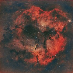 Wall Mural - elephant trunk nebula ic1396
