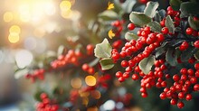  A Close Up Of A Bunch Of Red Berries On A Tree With Green Leaves And Red Berries With Green Leaves And Red Berries With Green Leaves On A Sunny Background.  Generative Ai