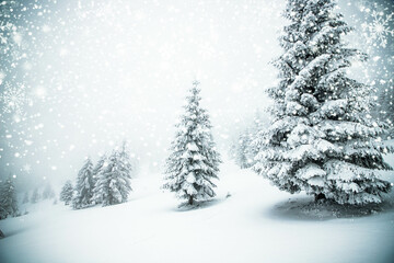 Canvas Print - magical frozen winter landscape with snow covered fir trees