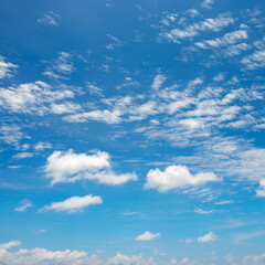 Wall Mural - white cloud on blue sky