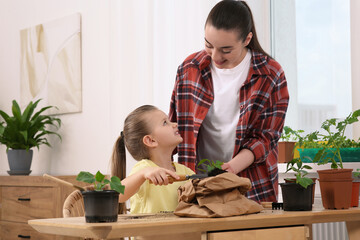 Canvas Print - Mother and daughter planting seedling into pot together at wooden table in room