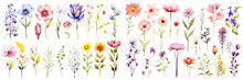 水彩風のたくさんの花イラスト（白背景）｜Watercolor Flowers. Generative AI