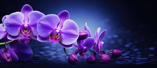 Wall Mural - purple flower