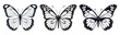 Set of Butterfly Clipart Vector illustration