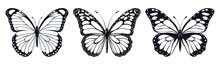 Set Of Butterfly Clipart Vector Illustration