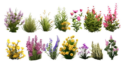 Wall Mural - Various types of flowers grass bushes shrub and small on transparent background.