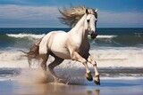 Fototapeta Konie - Majestic Horse Galloping | Sandy Beach
