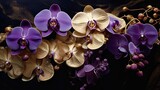 Orchid opulence. Gorgeous photograph of orchid arrangement for wedding, celebrations, gem, jewel, decoration, wallpaper, invitation, birthday card, fashion event. Unique background with copy space. 