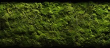 Moss With A Green Texture