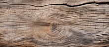 Textured Background Of An Aged Wooden Tree