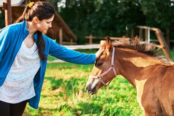 Woman and Horse in a Moment of Therapy. Girl and Horse Share a Therapeutic Connection.