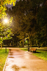 Wall Mural - wet wooden bench in city park on rainy autumn night