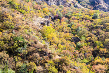 Wall Mural - overgrown colorful slopes of river gorge near geghard in armenia on sunny autumn day