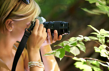 Poster - Shooting, photographer and nature with woman in forest for trees, environment and relax. Discover, camera lens and photography with face of female person in woods for travel, tourism and summer