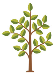 Poster - Green tree. Growing plant icon. Nature symbol