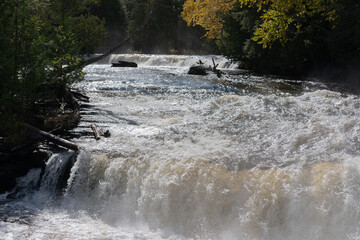 waterfall in the forest