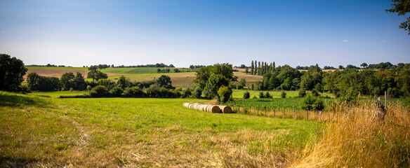 Wall Mural - Paysage de campagne au printemps en France.