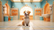 © jr-art - A happy dog sits in a bright room