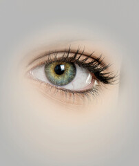 Wall Mural - isolated perfect woman green eye