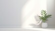 Minimalistic light background with blurred foliage shadow on a white wall. Beautiful house plant in the pot on the background of a white wall for a corporate product advertising