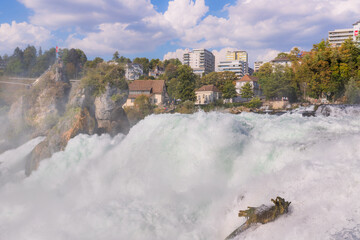 Wall Mural - Les Chûtes du Rhin en Suisse