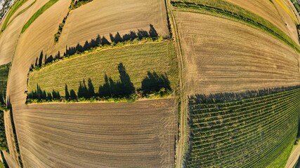 Fisheye Drone view down on wheat and vineyards