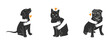 © annaspoka - domestic cat and dog simple minimal silhouette. human hands hugging animal. logo icon infographic for veterinary, pet shelter, pet adoption and animal charity on transparent background