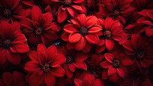A Serene Valentines Arrangement Of Deep Red Flowers. Crimson Petals In Art For Wedding, Mothers Day, 8. March, Jewel, Gem, Celebration, Spa, Wellness, Fashion Event. 