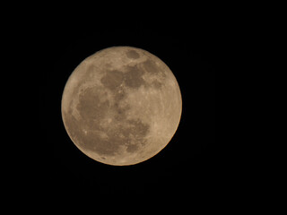 Wall Mural - full moon seen with telescope