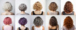 Small perm haircut for woman with different hair colour. View from behind on white background. Generative AI
