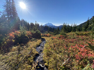 Wall Mural - a creek flowing at mount rainier during autumn