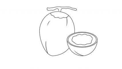 Poster - Animation forms a sketch of a coconut fruit icon