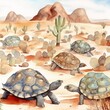 turtle in the desert
