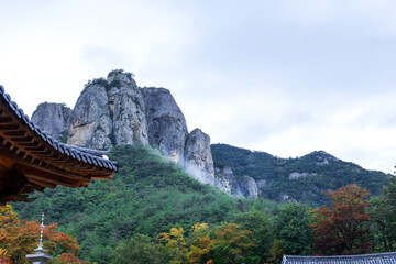 Wall Mural - The beautiful deep valley, early autumn mountain landscape.