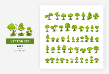 Tree isometric set elements. Vector collection of modern trees, plants, forest, for house building and urban trees garden. Easy to edit, eps 10.