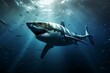 requiem shark in ocean natural environment. Ocean nature photography