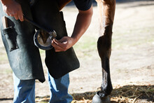 Farrier Man, Horse Foot And Farm With Hammer For Help, Race And Speed With Tools, Care And Support. Vet Team, Equine Doctor And Healthcare For Animal Hooves, Pet And Safety At Ranch In Countryside