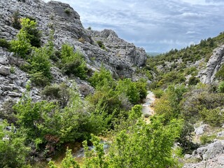 Wall Mural - The river Bijela voda or Bijeli Stream in a rugged canyon at the foot of the Przun hill, Karin Gornji - Croatia (Rijeka Bijela voda ili Bijeli potok u krševitom kanjonu podno brda Pržun - Hrvatska)