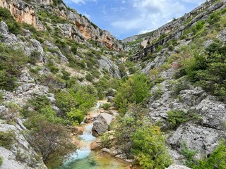 Wall Mural - The river Bijela voda or Bijeli Stream in a rugged canyon at the foot of the Przun hill, Karin Gornji - Croatia (Rijeka Bijela voda ili Bijeli potok u krševitom kanjonu podno brda Pržun - Hrvatska)