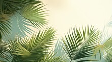 Natural Background With Palm Leaves Shadow