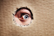 Closeup, cardboard and eye spy on hole, peek and search on mockup space. Face, macro and man peeping through paper board for secret, security and watch for surveillance, discover mystery and privacy