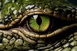 Eyes of dangerous crocodile hunter