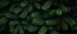 © paisorn - Texture of Christmas tree branches on a natural