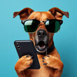 Shocked dog in sunglasses holding smartphone. ai generative
