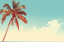 Coconut Palm Tree Under Blue Sky Vintage Background