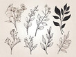 © tewpai - Floral branch and minimalist flowers for logo or tattoo. Hand drawn line wedding herb  elegant leaves