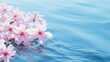 Cherry blossom sakura flower in spring over blue water background Generative AI