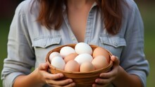 Close Up Of Woman Holding Basket With Fresh Eggs In Her Hands. Generative AI