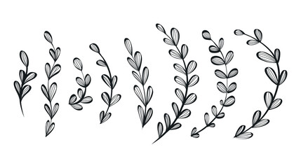 Wall Mural - Set of vector isolated decorative black branches with leaves. Collection of botanical twigs, sketch style.