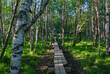 Koivusaari nature trail by Rovaniemi in Lapland, Finland